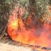 Φωτιά σε διαμέρισμα στο Μοσχάτο – Μία νεκρή – BINTEO