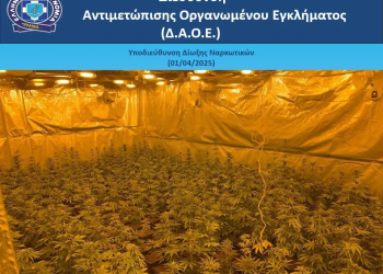Κρήτη και Αθήνα: Φυτώριο κάνναβης με όλα τα «κομφόρ» είχε στήσει η εγκληματική οργάνωση -ΒΙΝΤΕΟ – ΦΩΤΟ
