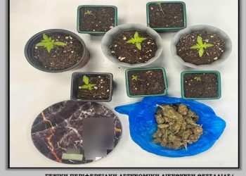 Λάρισα: Οι γλάστρες στο σπίτι είχαν… κάνναβη – Μια σύλληψη – ΦΩΤΟ