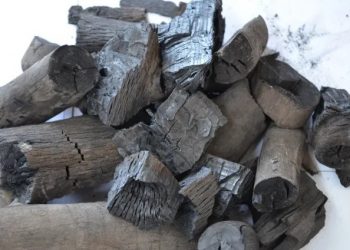 Όσκαρ θράσους – Έκλεψαν 3 τόνους κάρβουνα απέναντι από τις σχολές της Αστυνομίας στους Θρακομακεδόνες