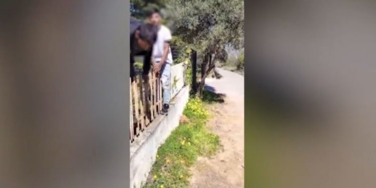 Απίστευτη ομολογία ληστών που πιάστηκαν στα πράσα: «Κλέβω γιατί έχω παιδιά να ζήσω» – ΒΙΝΤΕΟ