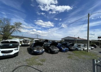 Συμμορία έκλεβε και πλαστογραφούσε αυτοκίνητα – Ο αρχηγός με το καθαρό ποινικό μητρώο και ο «Σάσμαν» – ΒΙΝΤΕΟ – ΦΩΤΟ