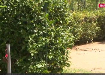 Θεσσαλονίκη: Σιδερένια πόρτα καταπλάκωσε 2χρονο παιδί