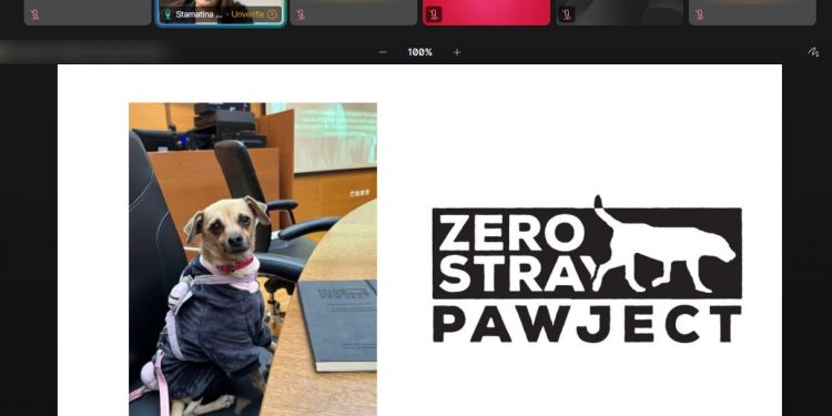 Λέσβος: Διαδικτυακή ημερίδα από τη Γενική Περιφερειακή Αστυνομική Διεύθυνση Βορείου Αιγαίου, για «Τα Δικαιώματα των Ζώων» – ΦΩΤΟ