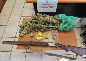 Ασπρόπυργος: Αστυνομικός σκύλος βρήκε τον «μπαξέ κάνναβης» που είχε 64χρονος στο σπίτι του – ΦΩΤΟ