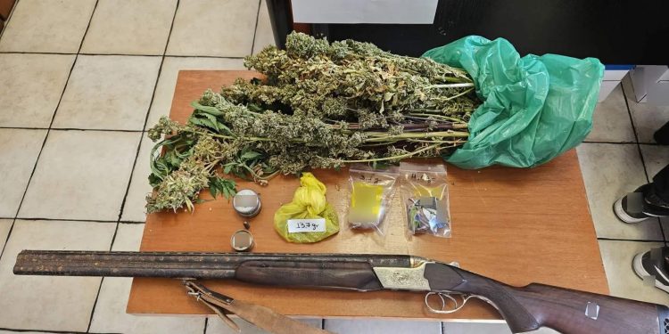 Ασπρόπυργος: Αστυνομικός σκύλος βρήκε τον «μπαξέ κάνναβης» που είχε 64χρονος στο σπίτι του – ΦΩΤΟ