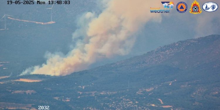 Φωτιά στη Ριτσώνα – Στη «μάχη» με τις φλόγες και εναέρια μέσα – ΦΩΤΟ