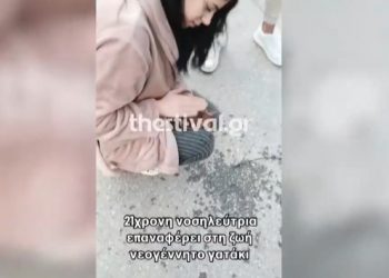 Θεσσαλονίκη: ΒΙΝΤΕΟ με νοσηλεύτρια που κάνει ΚΑΡΠΑ σε γατάκι και το επαναφέρει στη ζωή