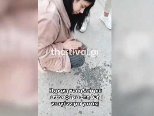 Θεσσαλονίκη: ΒΙΝΤΕΟ με νοσηλεύτρια που κάνει ΚΑΡΠΑ σε γατάκι και το επαναφέρει στη ζωή