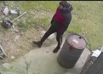 ΒΙΝΤΕΟ ΝΤΟΚΟΥΜΕΝΤΟ: Καρέ καρέ οι κινήσεις μέλους της συμμορίας που άρπαξε παπαγάλο από τη Νέα Φιλαδέλφεια