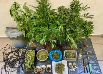 Λέσβος: Συνελήφθη διακινητής χασίς – Είχε και «ναρκομπαξέ» με κάνναβη – ΒΙΝΤΕΟ – ΦΩΤΟ