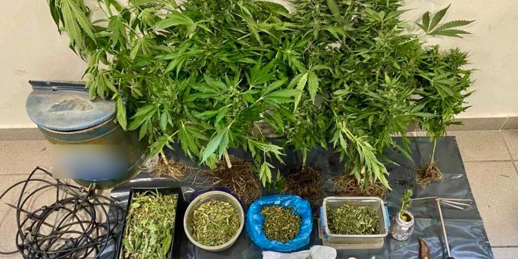 Λέσβος: Συνελήφθη διακινητής χασίς – Είχε και «ναρκομπαξέ» με κάνναβη – ΒΙΝΤΕΟ – ΦΩΤΟ