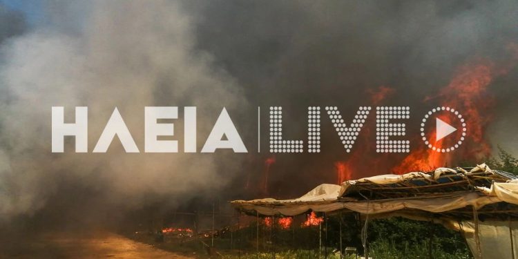 Μανωλάδα: Μεγάλη φωτιά και μπαράζ εκρήξεων σε καταυλισμό εργατών γης – ΒΙΝΤΕΟ – ΦΩΤΟ