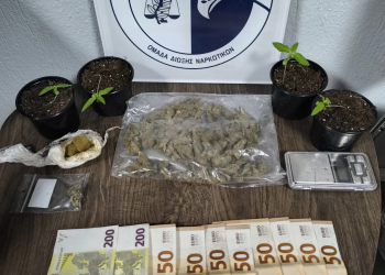 Ημαθία: Μία σύλληψη για καλλιέργεια κάνναβης