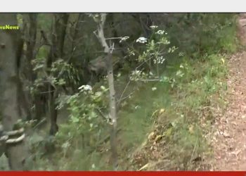 Τραγωδία στον Νέδα: Νεκρός 4χρονος στο «μονοπάτι του θανάτου» – BINTEO – ΦΩΤΟ