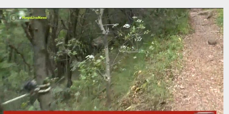 Τραγωδία στον Νέδα: Νεκρός 4χρονος στο «μονοπάτι του θανάτου» – BINTEO – ΦΩΤΟ