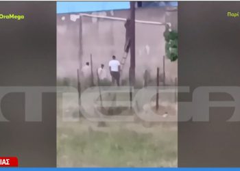 ΒΙΝΤΕΟ ΝΤΟΚΟΥΜΕΝΤΟ από τη στιγμή που Ρομά κλέβουν καλώδια από κολώνα της ΔΕΗ στη Βοιωτία – ΦΩΤΟ