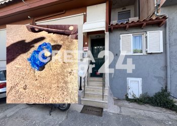 Σοκ στο Ηράκλειο: Νεογέννητο αγοράκι βρέθηκε ζωντανό σε κάδο σκουπιδιών – ΒΙΝΤΕΟ – ΦΩΤΟ ΝΤΟΚΟΥΜΕΝΤΟ