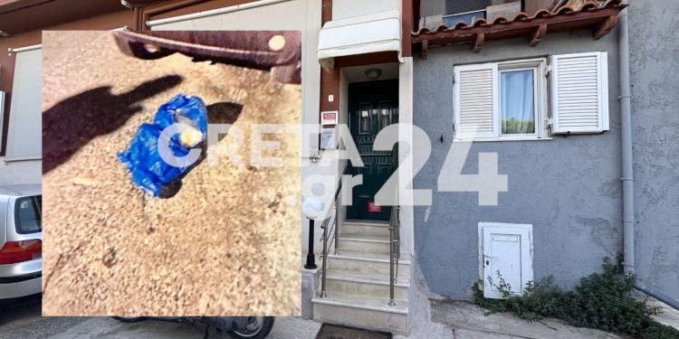 Σοκ στο Ηράκλειο: Νεογέννητο αγοράκι βρέθηκε ζωντανό σε κάδο σκουπιδιών – ΒΙΝΤΕΟ – ΦΩΤΟ ΝΤΟΚΟΥΜΕΝΤΟ
