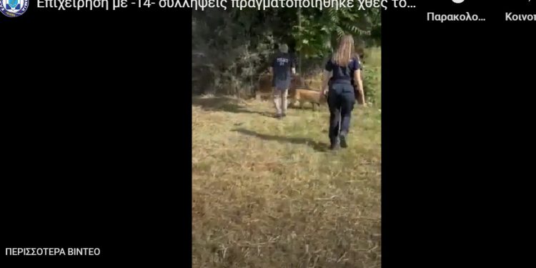 Νέα αστυνομική επιχείρηση στις Αχαρνές με 14 συλλήψεις – ΦΩΤΟ