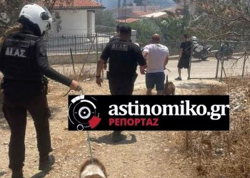 Φωτιά στην Παλαιά Φώκαια: Δραματικές διασώσεις πολιτών από αστυνομικούς – ΒΙΝΤΕΟ ΝΤΟΚΟΥΜΕΝΤΑ – ΦΩΤΟ