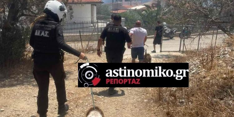 Φωτιά στην Παλαιά Φώκαια: Δραματικές διασώσεις πολιτών από αστυνομικούς – ΒΙΝΤΕΟ ΝΤΟΚΟΥΜΕΝΤΑ – ΦΩΤΟ