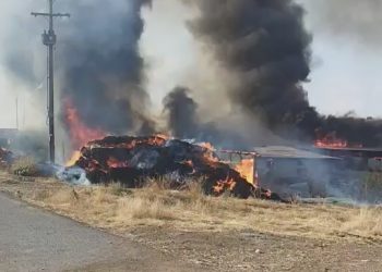 Γρεβενά: Πυρκαγιά σε κτηνοτροφική μονάδα στο Παλαιοχώρι – BINTEO – ΦΩΤΟ