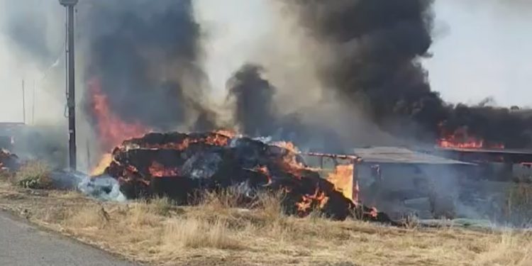 Γρεβενά: Πυρκαγιά σε κτηνοτροφική μονάδα στο Παλαιοχώρι – BINTEO – ΦΩΤΟ