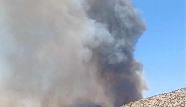 Πύρινο μέτωπο στη Παλαιά Φώκαια: Στη μάχη με τις φλόγες και αστυνομικοί – ΒΙΝΤΕΟ – ΦΩΤΟ
