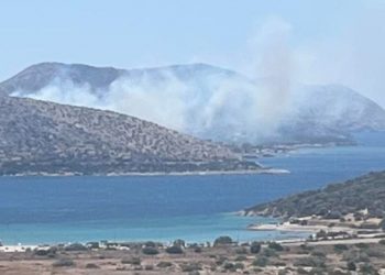 Μεγάλη φωτιά στην Παλαιά Φώκαια Αττικής – Ήχησε το 112 – Πού έχει διακοπεί η κυκλοφορία – ΒΙΝΤΕΟ – ΦΩΤΟ