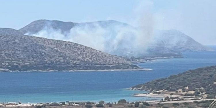 Μεγάλη φωτιά στην Παλαιά Φώκαια Αττικής – Ήχησε το 112 – Πού έχει διακοπεί η κυκλοφορία – ΒΙΝΤΕΟ – ΦΩΤΟ