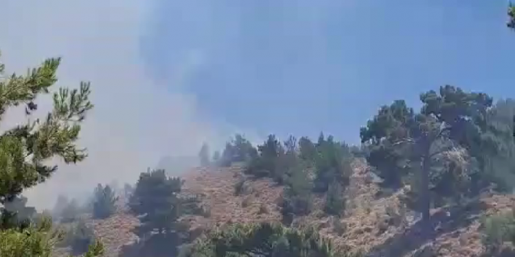 Χίος: Τέλος δεν έχει ο πύρινος εφιάλτης – Με 90 πυροσβέστες ενισχύονται οι δυνάμεις – ΒΙΝΤΕΟ – ΦΩΤΟ