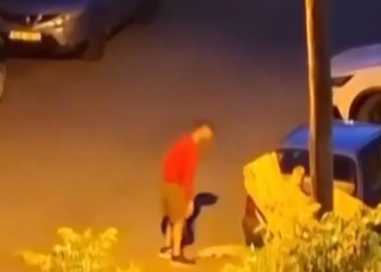 Θεσσαλονίκη: Σύλληψη 34χρονου για βασανισμό και θανάτωση ζώου στην Καλαμαριά – ΦΩΤΟ NTOKOYMENTO