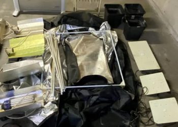 Θεσσαλονίκη: Θερμοκήπιο κάνναβης σε… σπίτι – Συνελήφθη 42χρονος – ΒΙΝΤΕΟ – ΦΩΤΟ