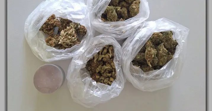 Λάρισα: Στη «φάκα» της ΕΛΑΣ άνδρας για κατοχή κάνναβης – ΦΩΤΟ