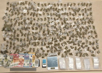 Μία σύλληψη για διακίνηση ναρκωτικών στον Άγιο Παντελεήμονα – ΦΩΤΟ