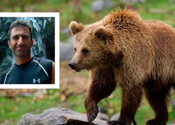 Πηγές Αστυνομίας: Από την αρκούδα ο θάνατος του ορειβάτη – ΒΙΝΤΕΟ
