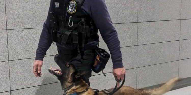 Ο Όσκαρ αποχαιρετά τους συναδέλφους του και παίρνει επιτέλους …σύνταξη – ΦΩΤΟ