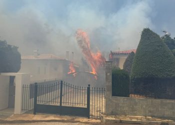 Φωτιά στην Παλαιά Φώκαια: Καίγονται σπίτια στο Θυμάρι – Μηνύματα 112 για εκκένωση περιοχών – ΒΙΝΤΕΟ – ΦΩΤΟ