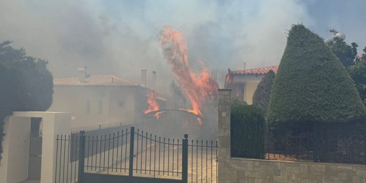 Φωτιά στην Παλαιά Φώκαια: Καίγονται σπίτια στο Θυμάρι – Μηνύματα 112 για εκκένωση περιοχών – ΒΙΝΤΕΟ – ΦΩΤΟ