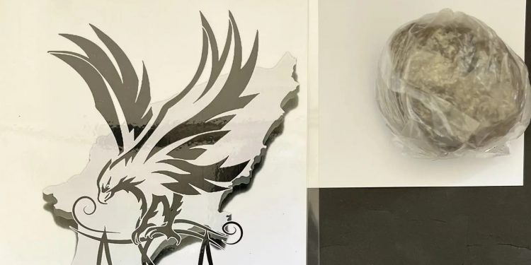 Ρόδος: Αστυνομικός σκύλος μύρισε τα ναρκωτικά που έφτασαν με το πλοίο – Συνελήφθη 58χρονη – ΦΩΤΟ