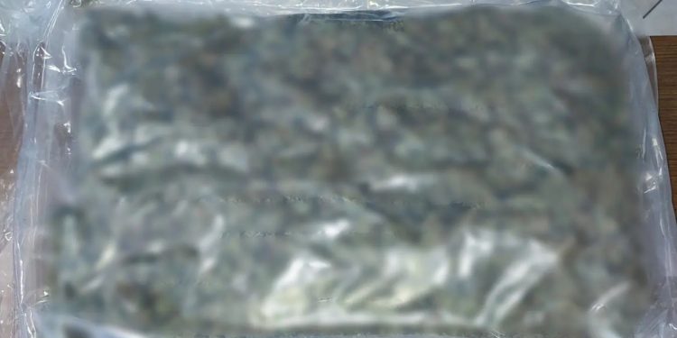 Φθιώτιδα: Μπλόκο στα διόδια της Τραγάνας σε αυτοκίνητο που μετέφερε κάνναβη – 2 συλλήψεις – ΦΩΤΟ