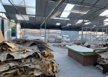 Πώς δρούσε το κύκλωμα που έβγαζε κοκαΐνη από εμποτισμένα δέρματα – Τι αποκάλυψε ο αρχηγός του ελληνικού FBI  – ΒΙΝΤΕΟ – ΦΩΤΟ