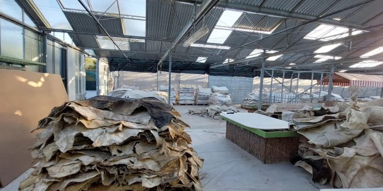 Πώς δρούσε το κύκλωμα που έβγαζε κοκαΐνη από εμποτισμένα δέρματα – Τι αποκάλυψε ο αρχηγός του ελληνικού FBI  – ΒΙΝΤΕΟ – ΦΩΤΟ