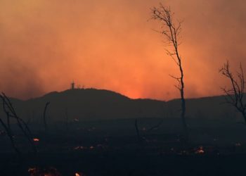 Πυρκαγιά στη Μεσσηνία: Οι εικόνες καταστροφής και η μάχη με τις αναζωπυρώσεις στην περιοχή του Αετού – ΒΙΝΤΕΟ – ΦΩΤΟ