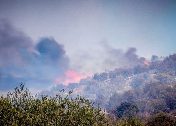 Πυρκαγιά στα Μεσοχώρια Ευβοίας: Ήχησε το «112» – Συναγερμός στη Πυροσβεστική – ΦΩΤΟ