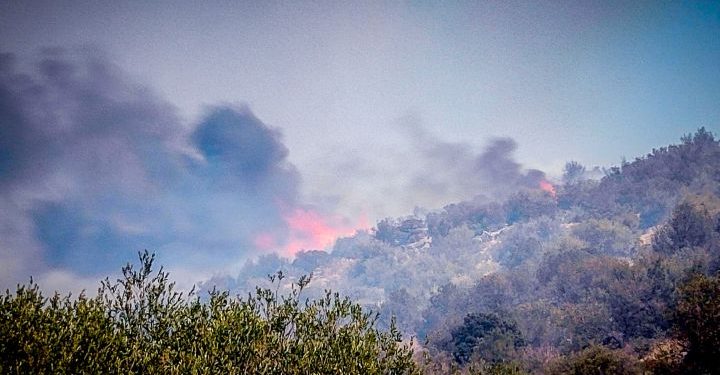 Πυρκαγιά στα Μεσοχώρια Ευβοίας: Ήχησε το «112» – Συναγερμός στη Πυροσβεστική – ΦΩΤΟ