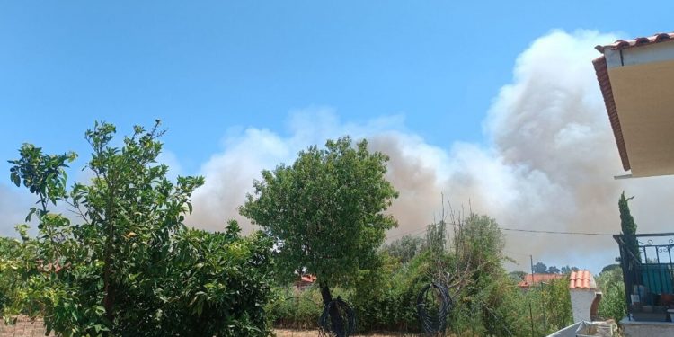 Μεγάλη φωτιά στον Μαραθώνα: Ήχησε το 112 για εκκένωση οικισμού – ΒΙΝΤΕΟ – ΦΩΤΟ