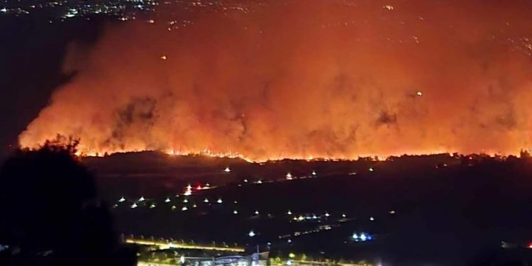 Σε ύφεση η φωτιά στον Ωρωπό: Ολονύχτια μάχη με τις φλόγες – Κινδύνεψαν σπίτια – ΒΙΝΤΕΟ – ΦΩΤΟ