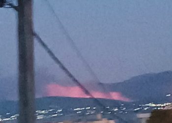 Φωτιά  στον Ωρωπό: Μάχη με τις φλόγες για να μη φτάσει στο Ασπροχώρι – BINTEO – ΦΩΤΟ